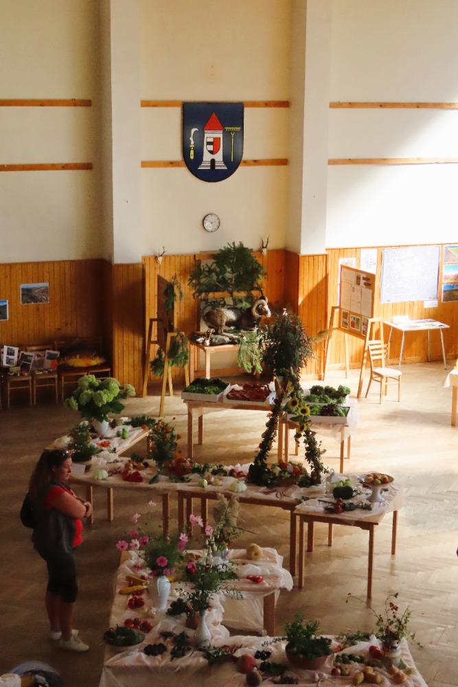 Výstava ovoce, zeleniny a květin